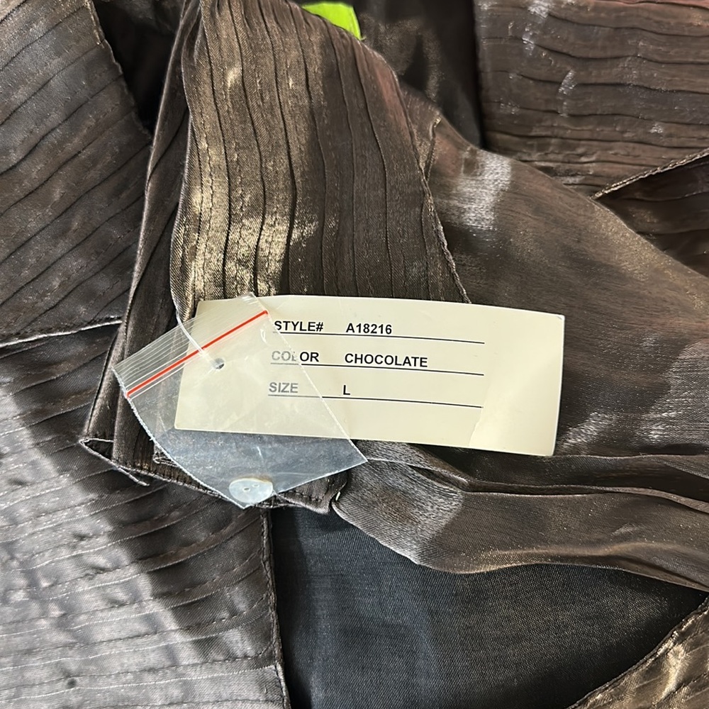 Sheer Blouse - Picture 6 of 7